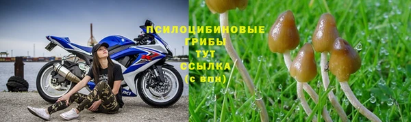 ALPHA PVP Новокубанск