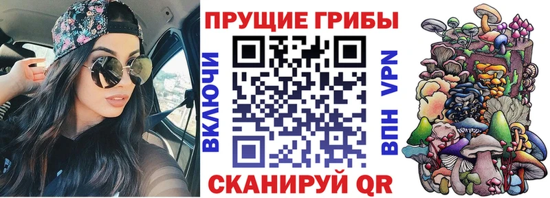 цена   Светогорск  Псилоцибиновые грибы MAGIC MUSHROOMS 